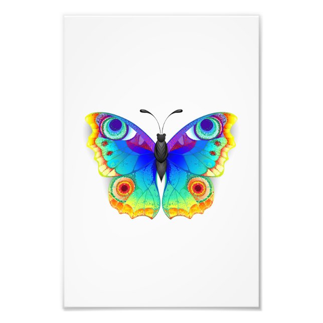 Rainbow Butterfly Peacock Eye Photo Print (Front)