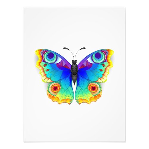 Rainbow Butterfly Peacock Eye Photo Print