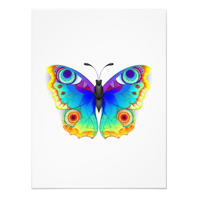 Rainbow Butterfly Peacock Eye Photo Print (Front)
