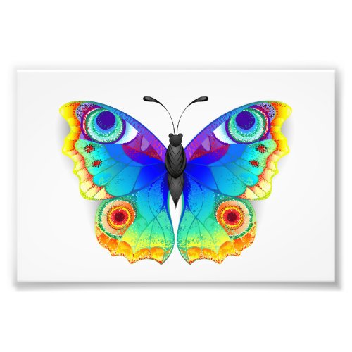 Rainbow Butterfly Peacock Eye Photo Print