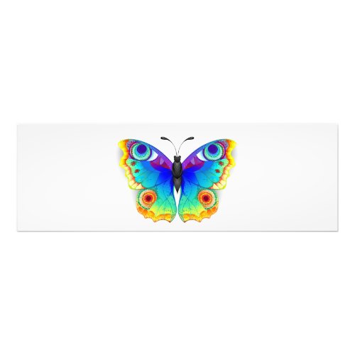 Rainbow Butterfly Peacock Eye Photo Print