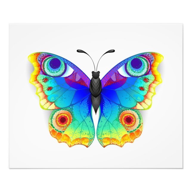 Rainbow Butterfly Peacock Eye Photo Print (Front)