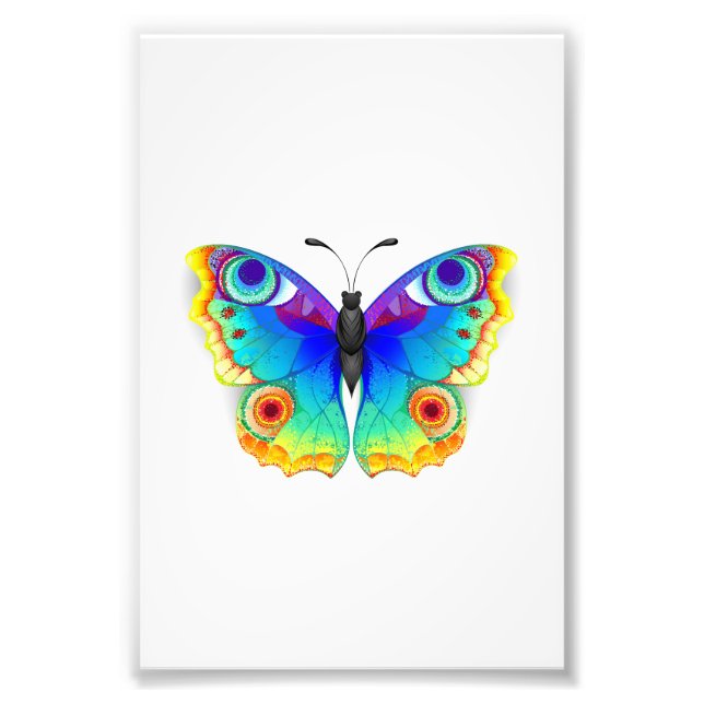 Rainbow Butterfly Peacock Eye Photo Print (Front)