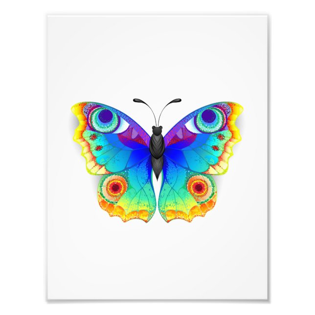 Rainbow Butterfly Peacock Eye Photo Print (Front)