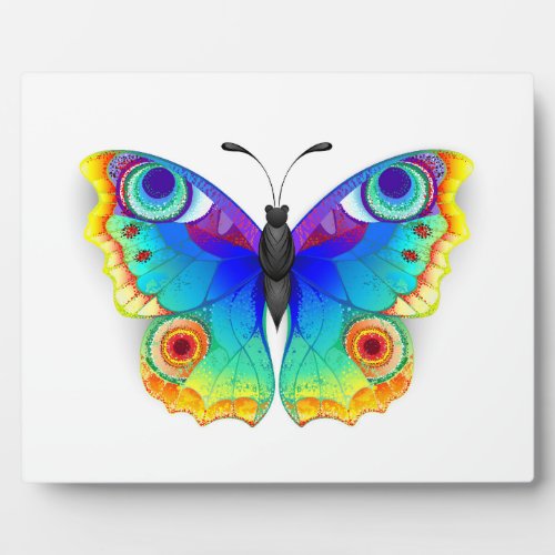 Rainbow Butterfly Peacock Eye Plaque