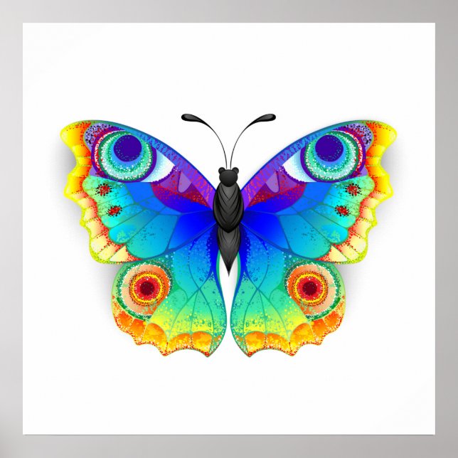 Rainbow Butterfly Peacock Eye Poster (Front)