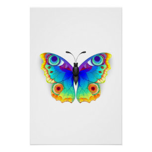 Rainbow Butterfly Peacock Eye Poster