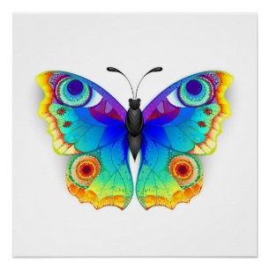 Rainbow Butterfly Peacock Eye Poster