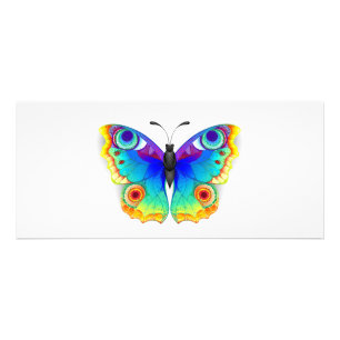 Rainbow Butterfly Peacock Eye Rack Card