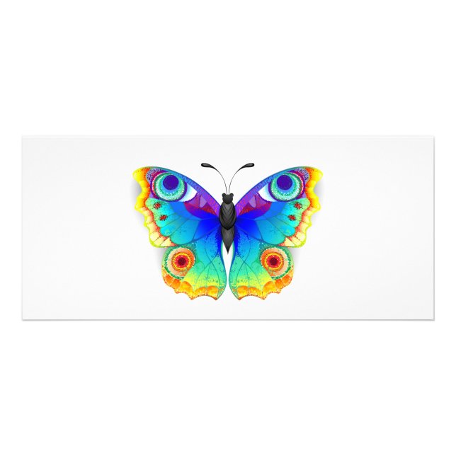 Rainbow Butterfly Peacock Eye Rack Card (Front)