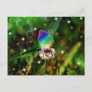 Rainbow Butterfly Postcard