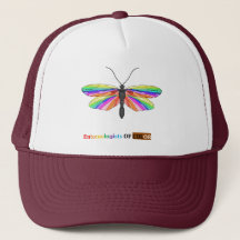 Rainbow Caddisfly