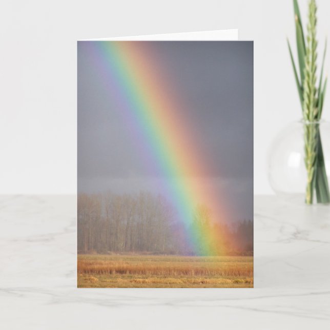 Rainbow Card 1 (Front)