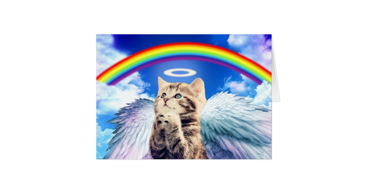 Rainbow Cat Cat Praying Cat Cute Cats Zazzle Com