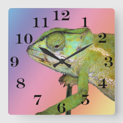 Rainbow chameleon square wall clock