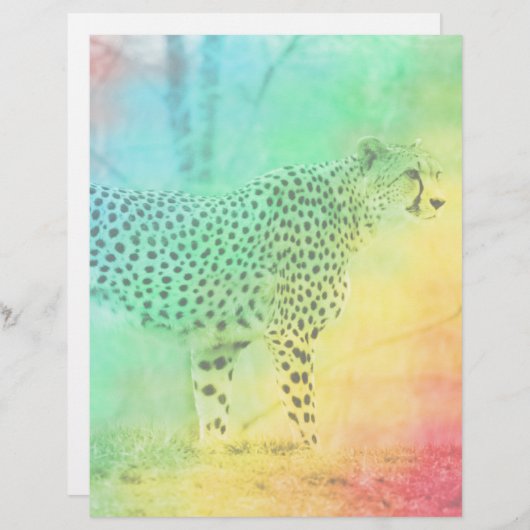 Rainbow Cheetah (Front/Back)
