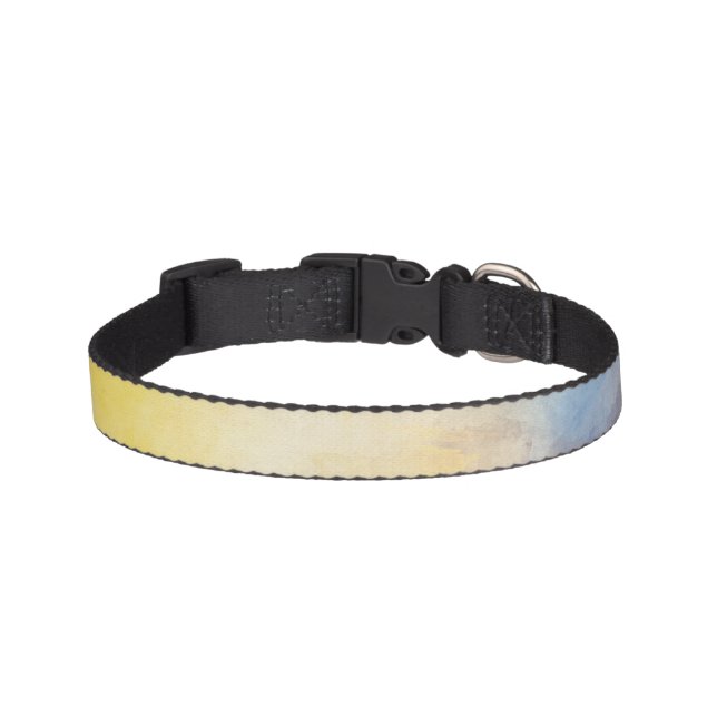 Rainbow Color Cute  Pet Collar (Front)