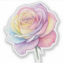 Rainbow color rose