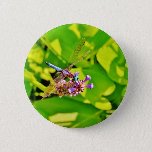 Rainbow colored Dragonfly  on a purple pink flower Button