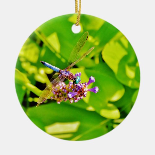 Rainbow colored Dragonfly  on a purple pink flower Ceramic Ornament