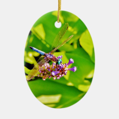 Rainbow colored Dragonfly  on a purple pink flower Ceramic Ornament