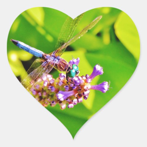 Rainbow colored Dragonfly  on a purple pink flower Heart Sticker