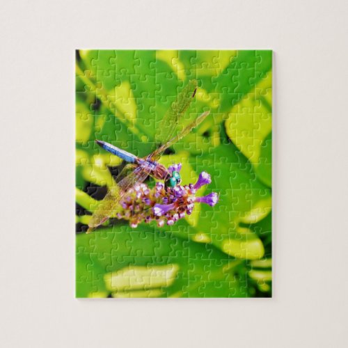 Rainbow colored Dragonfly  on a purple pink flower Jigsaw Puzzle