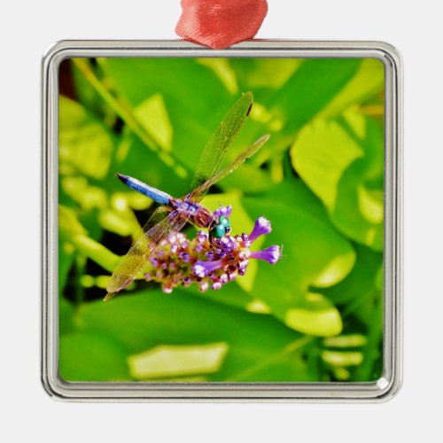 Rainbow colored Dragonfly  on a purple pink flower Metal Ornament