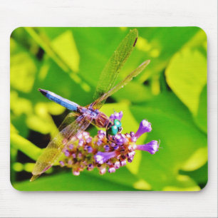 Rainbow colored Dragonfly on a purple pink flower Mouse Pad