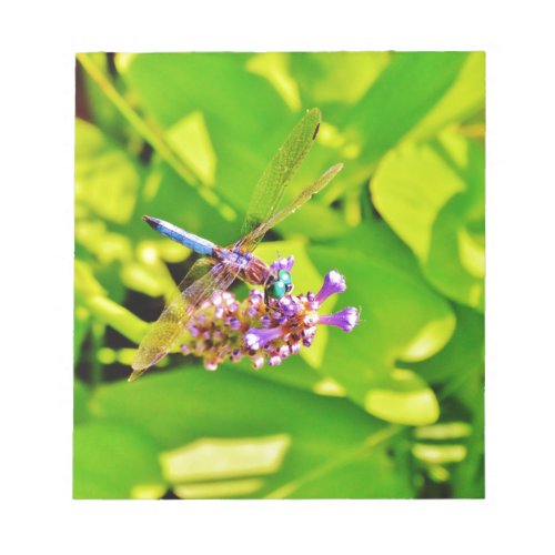 Rainbow colored Dragonfly  on a purple pink flower Notepad