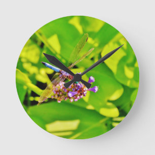 Rainbow colored Dragonfly on a purple pink flower Round Clock