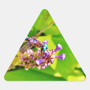 Rainbow colored Dragonfly  on a purple pink flower Triangle Sticker