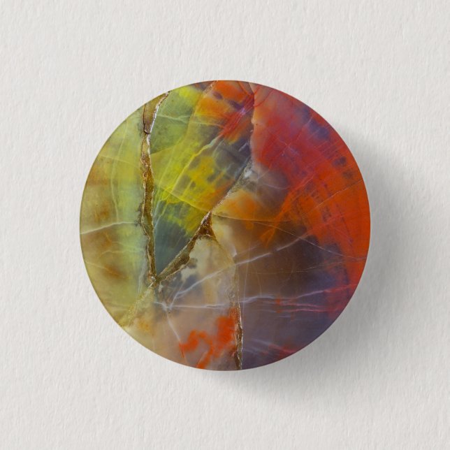 Rainbow Colored Petrified Wood Button (Front)