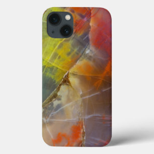 Rainbow Colored Petrified Wood iPhone 13 Case