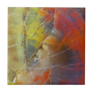 Rainbow Colored Petrified Wood Ceramic Tile