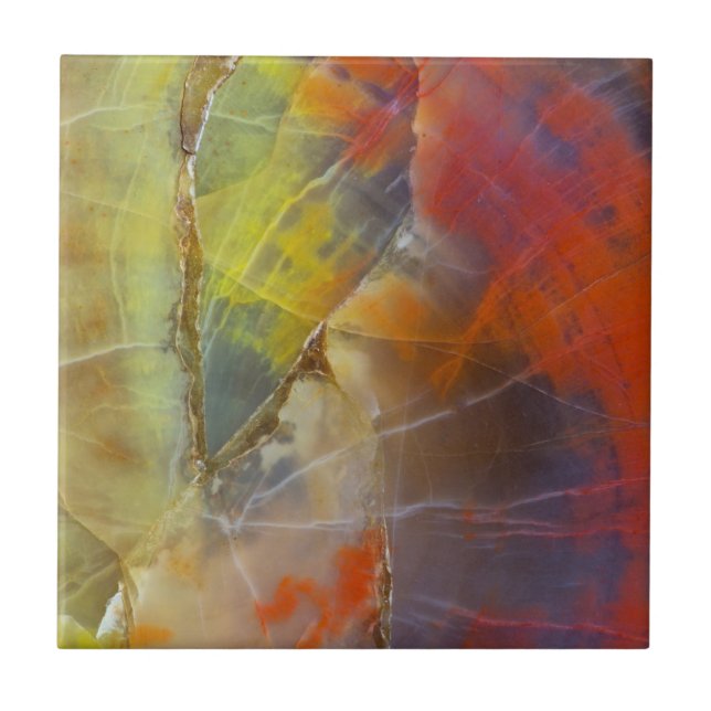 Rainbow Colored Petrified Wood Ceramic Tile (Front)