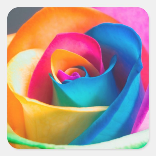 Rainbow Colored Rose Stickers and Envelope Seals (Front)
