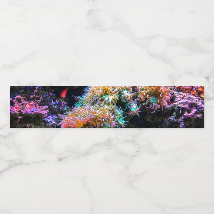 Rainbow Colored Tropical Undersea Coral Water Bottle Label | Zazzle.com