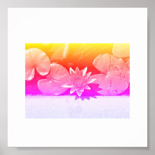 Rainbow Colors Water Lily Flower Plants Poster (Front)