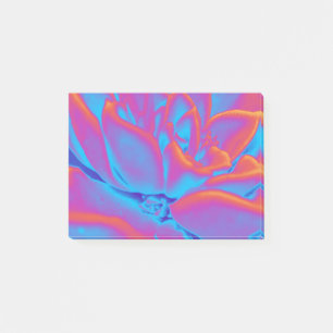 Rainbow colour Succulent plant Post-it Notes