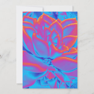 Rainbow colour Succulent plant Thank You Card