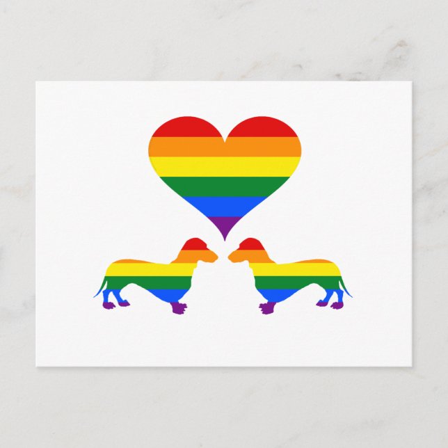 Rainbow dachshunds postcard (Front)