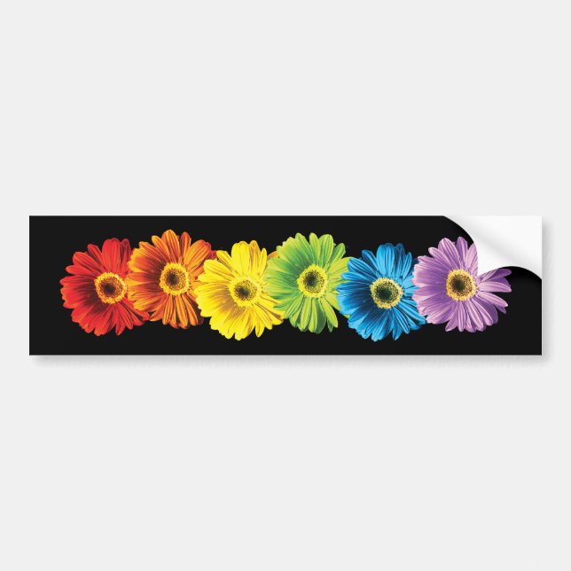 Rainbow Daisies Bumper Sticker (Front)