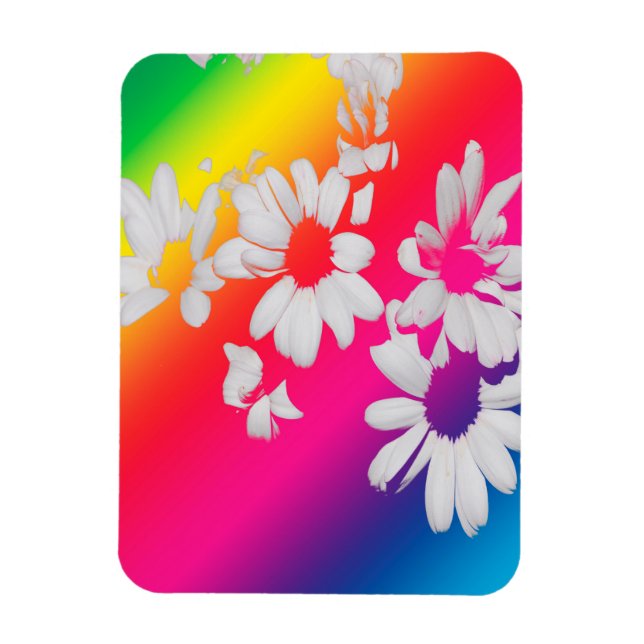 Rainbow daisies magnet (Vertical)