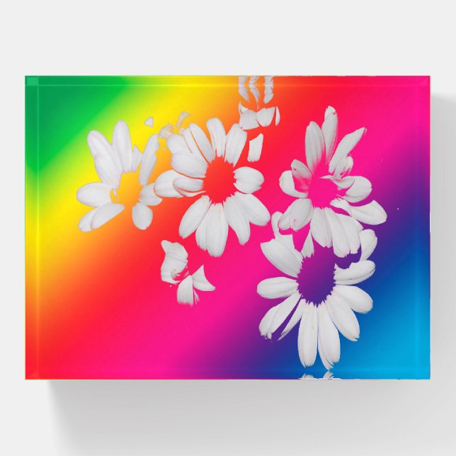 Rainbow daisies paperweight (Front)