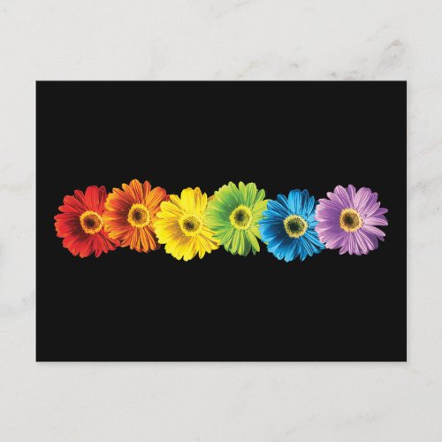 Rainbow Daisies Postcard