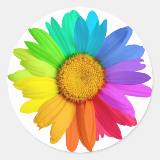 Rainbow Daisy Classic Round Sticker