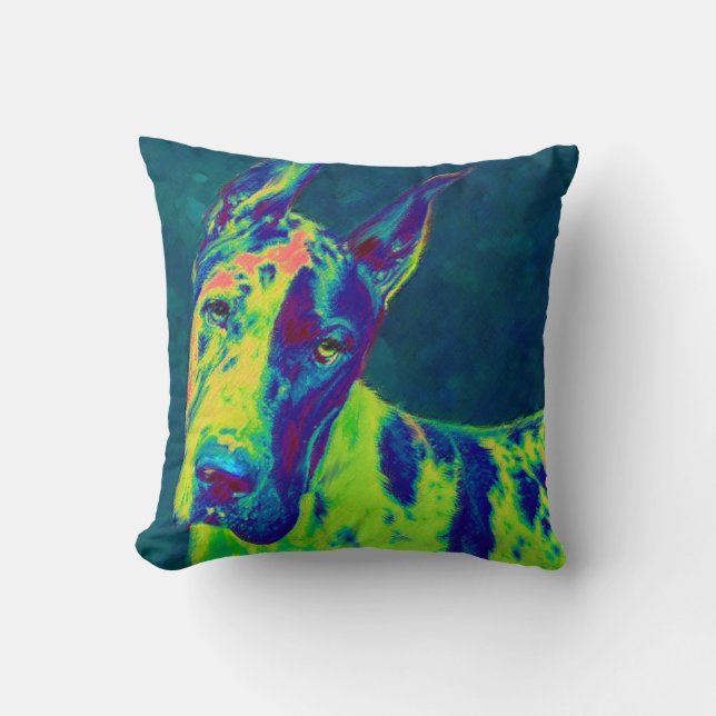 rainbow dane throw pillow (Front)