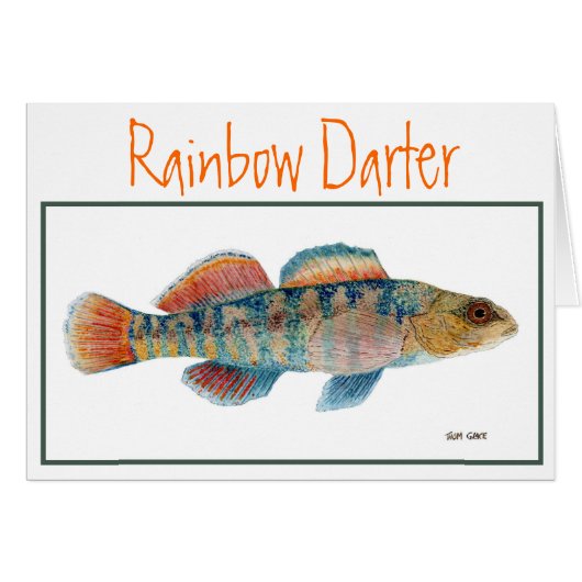 Rainbow  Darter Card (Front Horizontal)