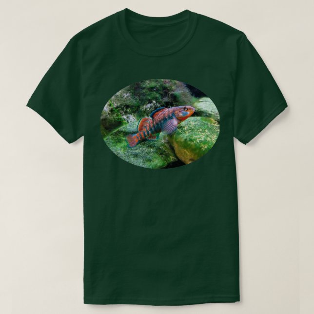 Rainbow Darter T-Shirt (Design Front)